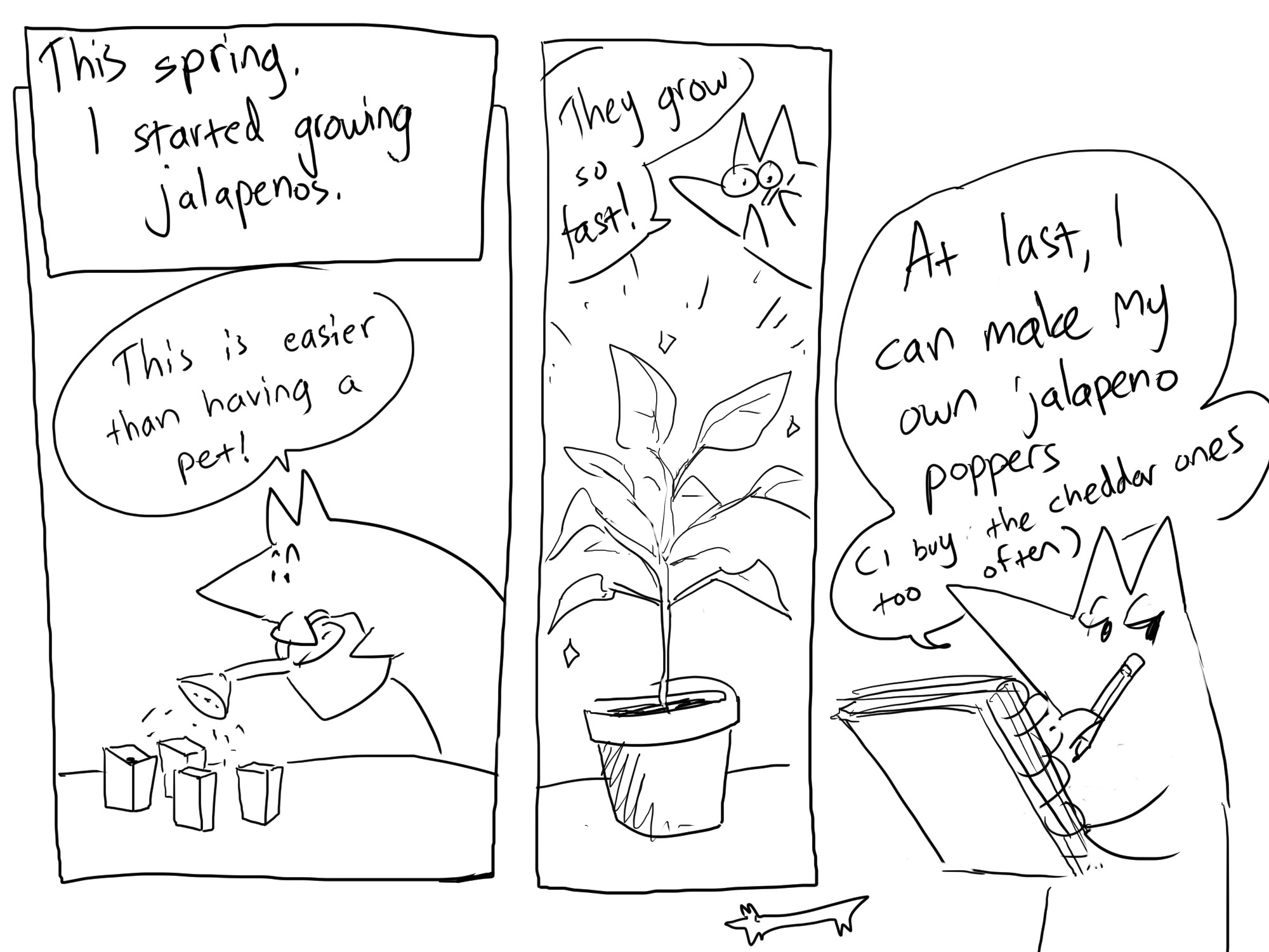 Comic diary 4